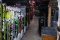 Top Shop Image